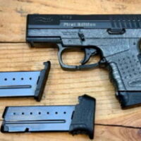 PENNY START: Walther / S&W PPS First Edition 9mm 3.18”