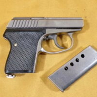 Seecamp LWS32 32acp semi Auto Pistol