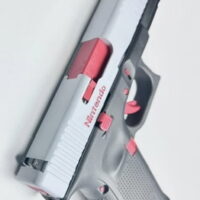 Custom Glock G19