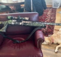 Remington 870 Turkey gun