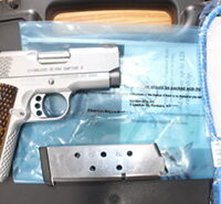 Kimber 1911 Stainless Ultra Raptor