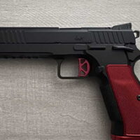 Dan Wesson DWX Optic