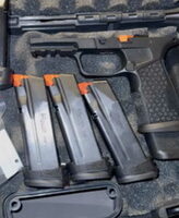 P365 Fuse, XL Icarus grip, Romeo X comp, Ramm tac trigger