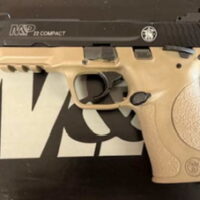 Smith & Wesson M&P22