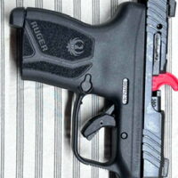 Ruger LCP max 380