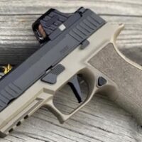 Sig Sauer P320 XTEN 10mm Compact
