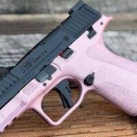 Smith & Wesson Shield X 9mm